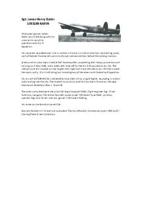 A preview of a PDF biography for Butler, James Henry
